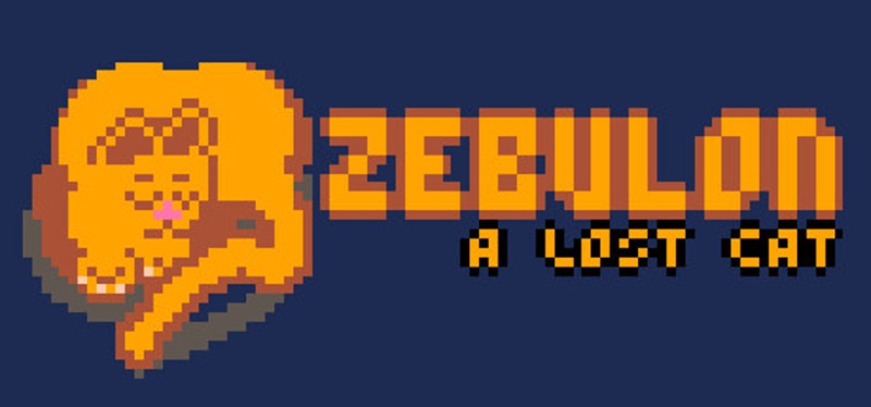 Zebulon: A Lost Cat Image