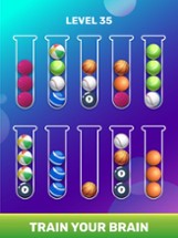 Ball Sort Puzzle - Brain Game Image