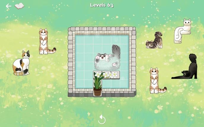 CATS BLOCKS: HOT SPRINGS Image