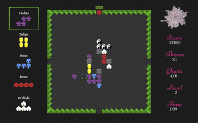 Chrysanthemum (Windows) Image