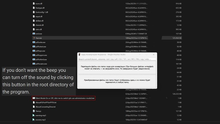 Format Converter Tsar screenshot