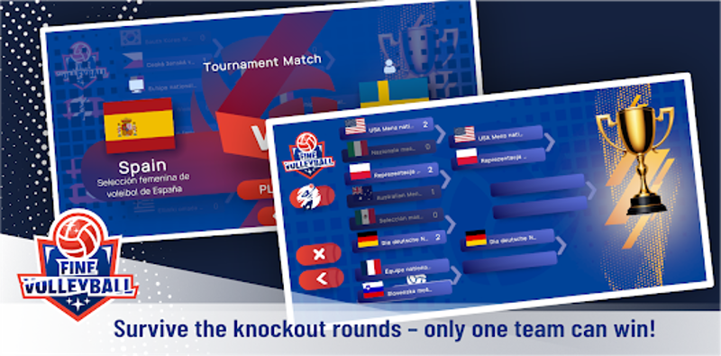 Fine Volleyball screenshot