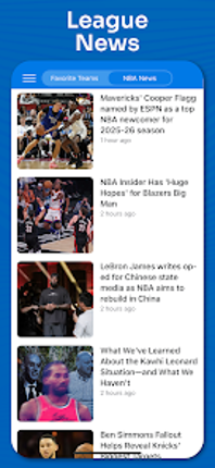 Superfan Sports Pro Basketball Image