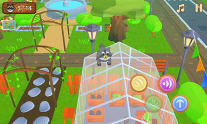 Raccoon Afternoon Image