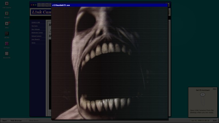 Link Cameras Image