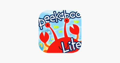 Peekaboo Ocean HD Lite Image