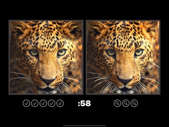 Spot the Difference Image Hunt Image