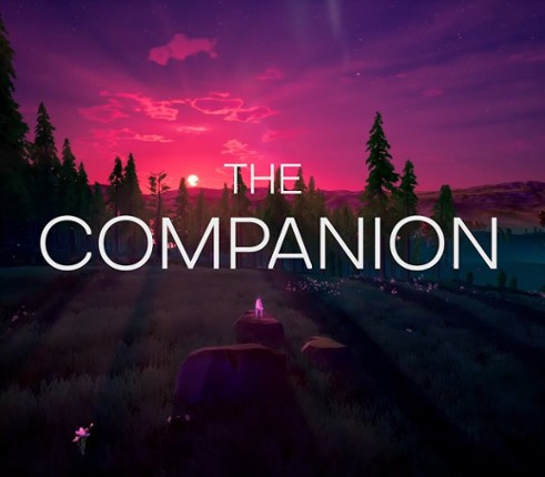 The Companion Image