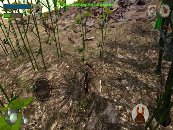 Ant Simulation 3D screenshot