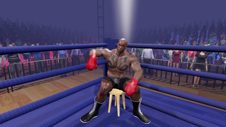 Boxing Knockout Showdown screenshot
