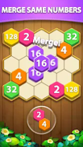 Hexa Block Puzzle - Merge! Image