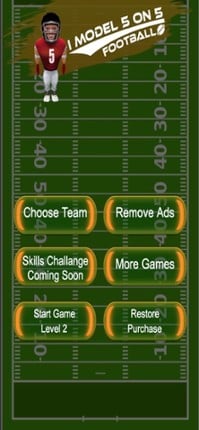 IModel 5 on 5 Football screenshot