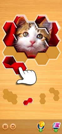 Jigsaw Puzzles Hexa Ⓞ screenshot