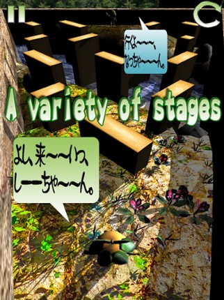 Nacchan's Pear HarvestFestival Image