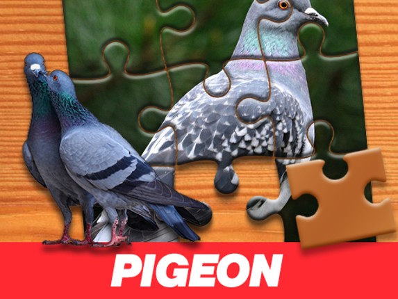 Pigeon Jigsaw Puzzle Game Cover