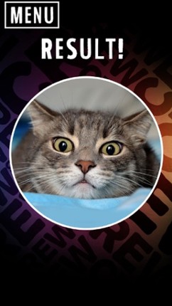 Scanner What Cat screenshot