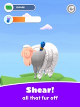 Sheary Sheep Image