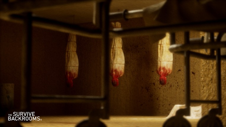Survive The Backrooms Image