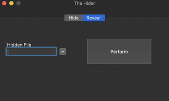 The Hider Image