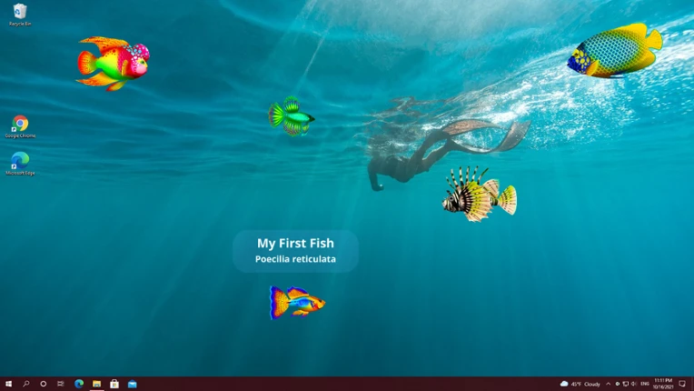 Virtual Aquarium Image