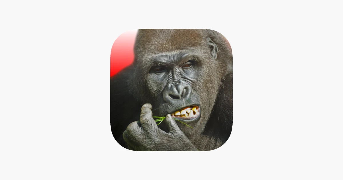 Games like Flying Gorilla