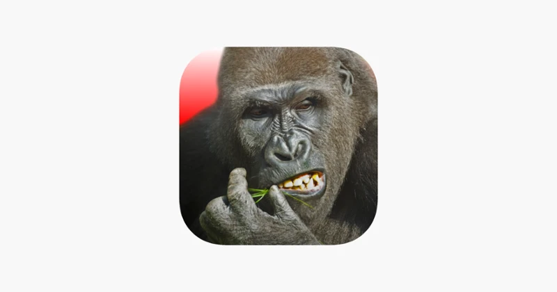 Flying Gorilla Image