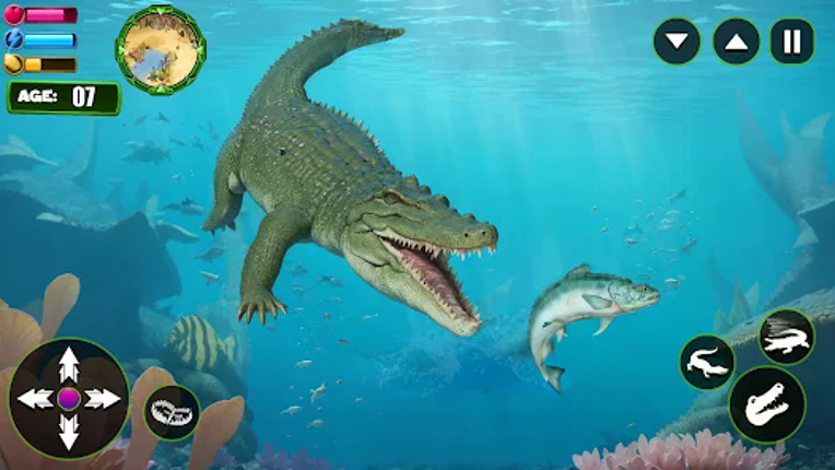Angry Alligator Attack Sim 3D Image
