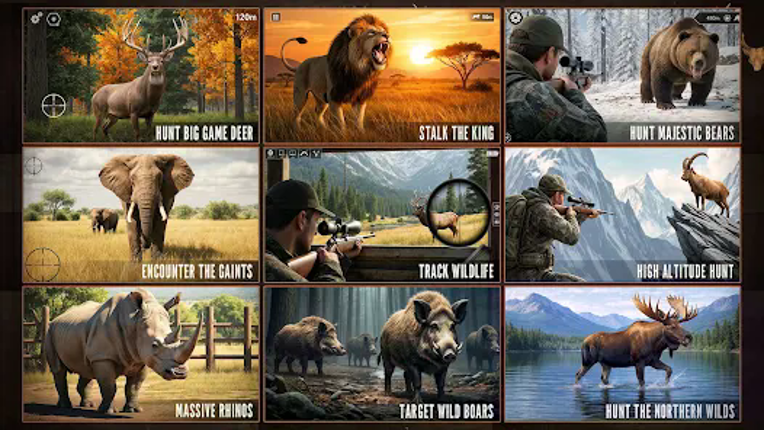 Wild Animal Sniper Shooting 3D Image