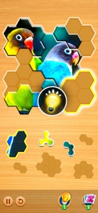 Jigsaw Puzzles Hexa Ⓞ screenshot