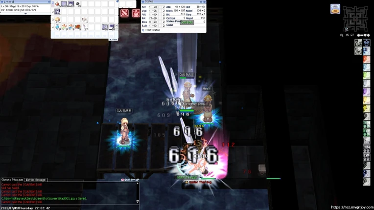 Ragnarok Zero: Global Image