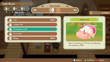 STORY OF SEASONS: Friends of Mineral Town Image