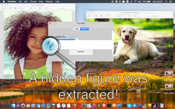 The Hider screenshot