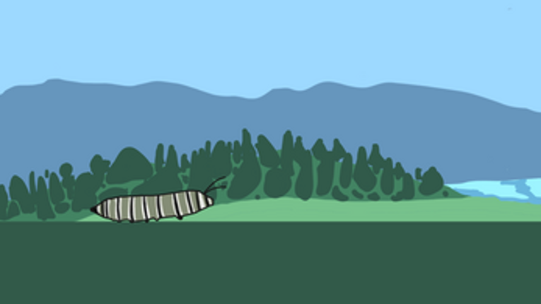 The line. screenshot