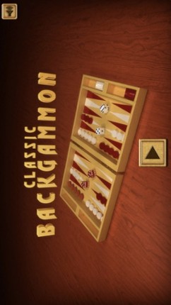 Backgammon Classic Dice screenshot