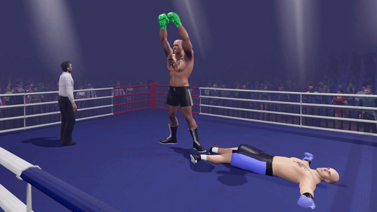 Boxing Knockout Showdown screenshot