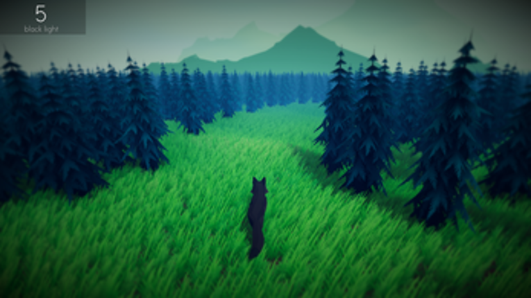 The Black Fox Image