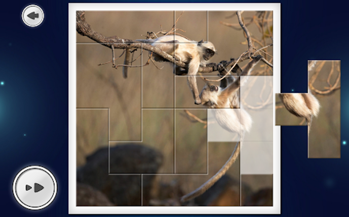 IMAGEine Premium screenshot