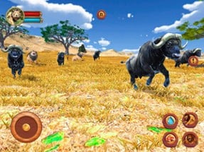 Lion Simulator - Safari Animal Image