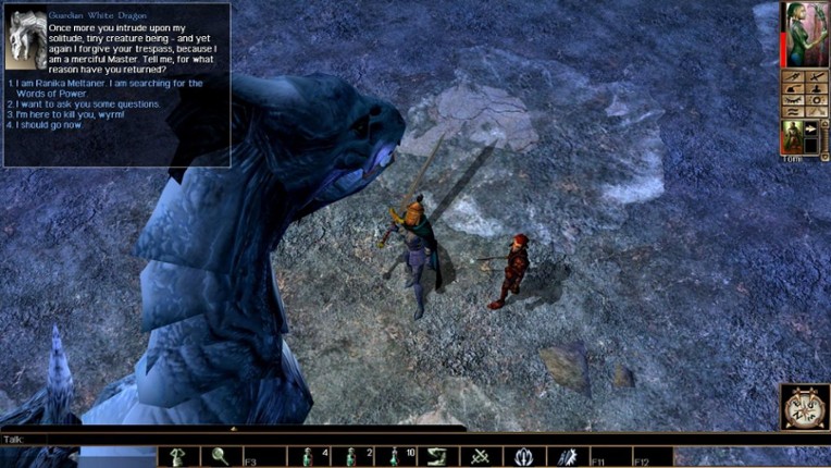 Neverwinter Nights screenshot