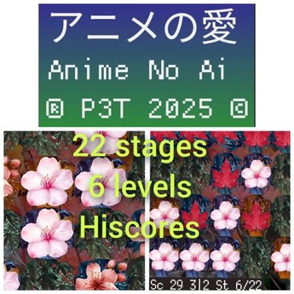 P3T Image