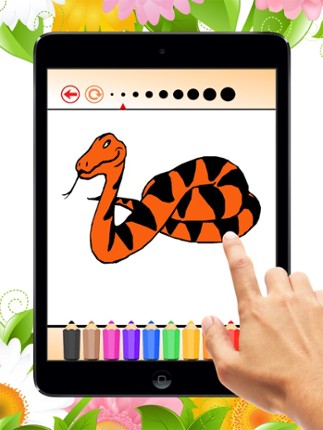 Snake Coloring Book for Children: Learn to color a cobra, boa, anaconda and more screenshot