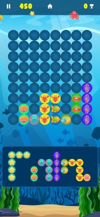 Aqua Block Puzzle Image