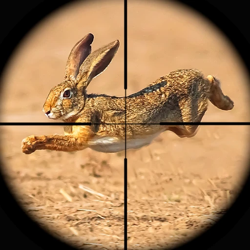 Games like Rabbit Game Sniper Shooting