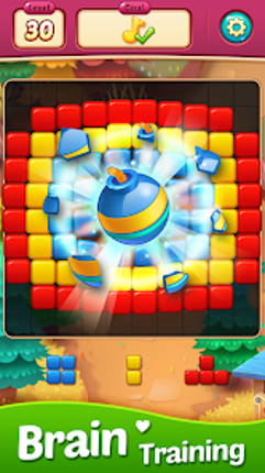 BlocKing Puzzle Image