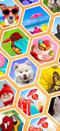 Jigsaw Puzzles Hexa Ⓞ screenshot