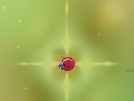 Pest Control Image