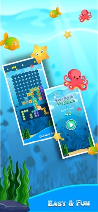 Aqua Block Puzzle Image