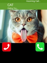 Call Cat 2 Image