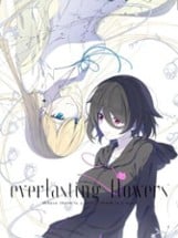 Everlasting Flowers Image