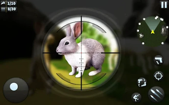 Rabbit Game Sniper Shooting Image